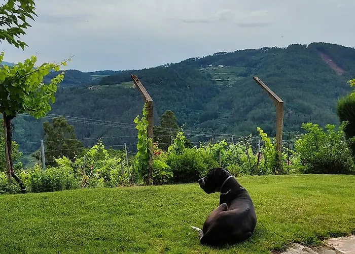 Casa Da Vina - Ribeira Sacra