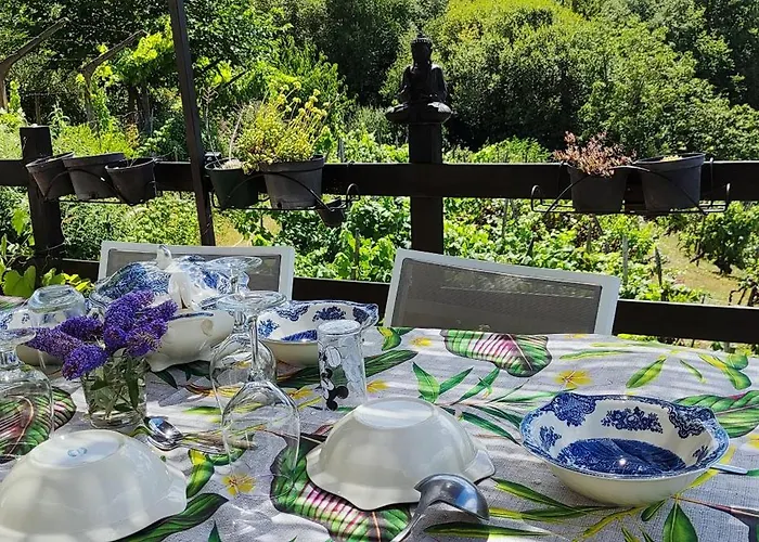 Casa Da Vina - Ribeira Sacra