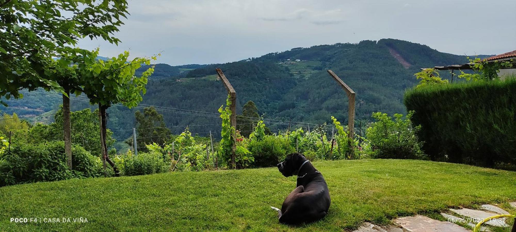 Casa Da Vina - Ribeira Sacra Nogueira De Ramuin