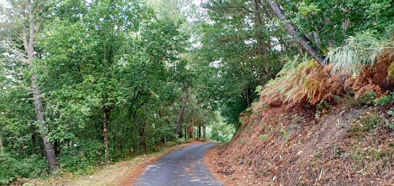 Casa Da Vina - Ribeira Sacra *