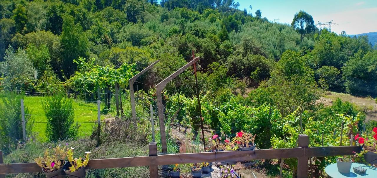 Casa Da Vina - Ribeira Sacra * Nogueira De Ramuin
